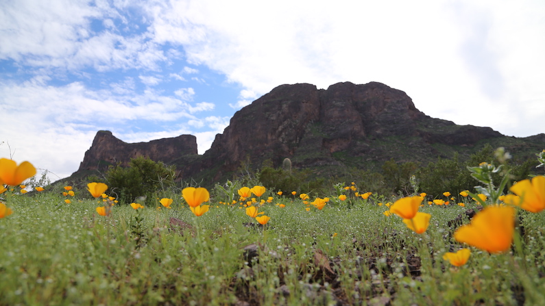 Destination Feature: Casa Grande,&nbsp;AZ